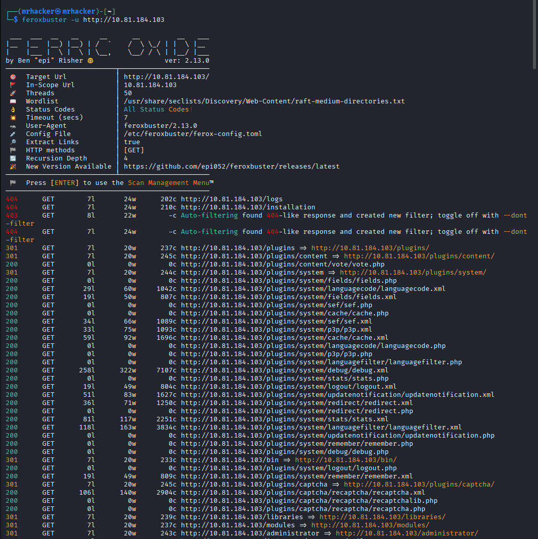 Feroxbuster results showing administrator endpoint