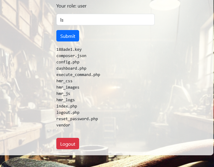 Interface showing command execution with ls