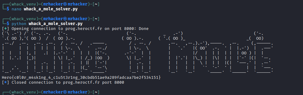 Script execution screenshot
