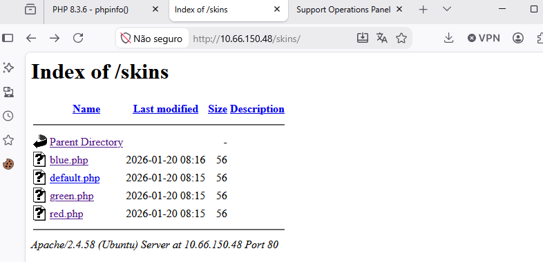 Directory listing of the Support application skins folder
