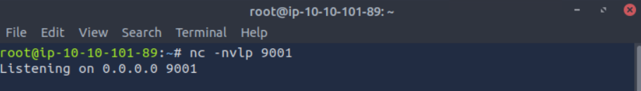 Netcat listener running